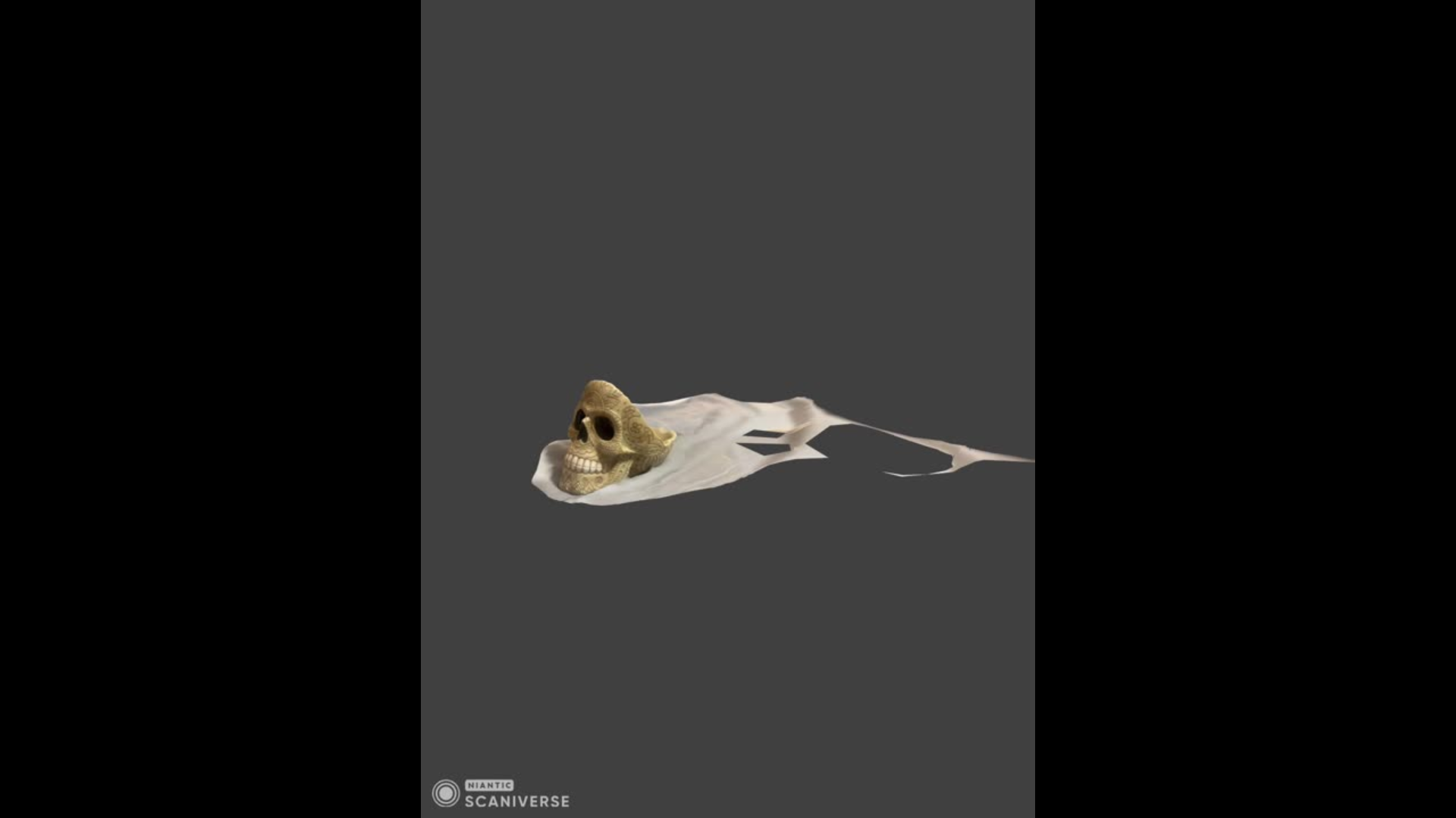 This scan shows the decorative skull figurine, but most of the surrounding area failed to process. Only the top part of the skull loaded clearly while the rest stretched into a distorted shape.