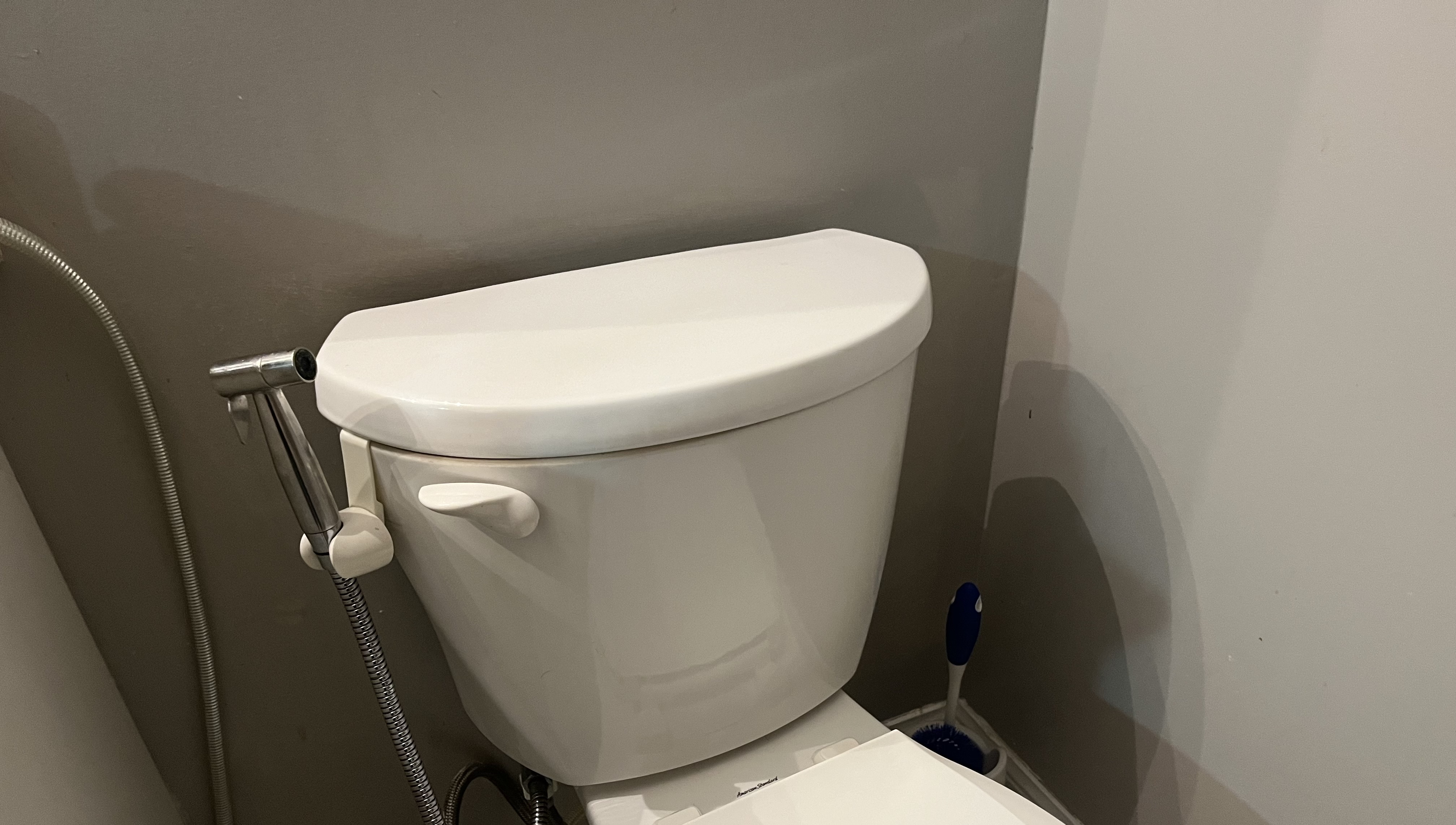 This is the sound of the toilet lid being dropped down, producing a quick, solid thud as it hits the seat.